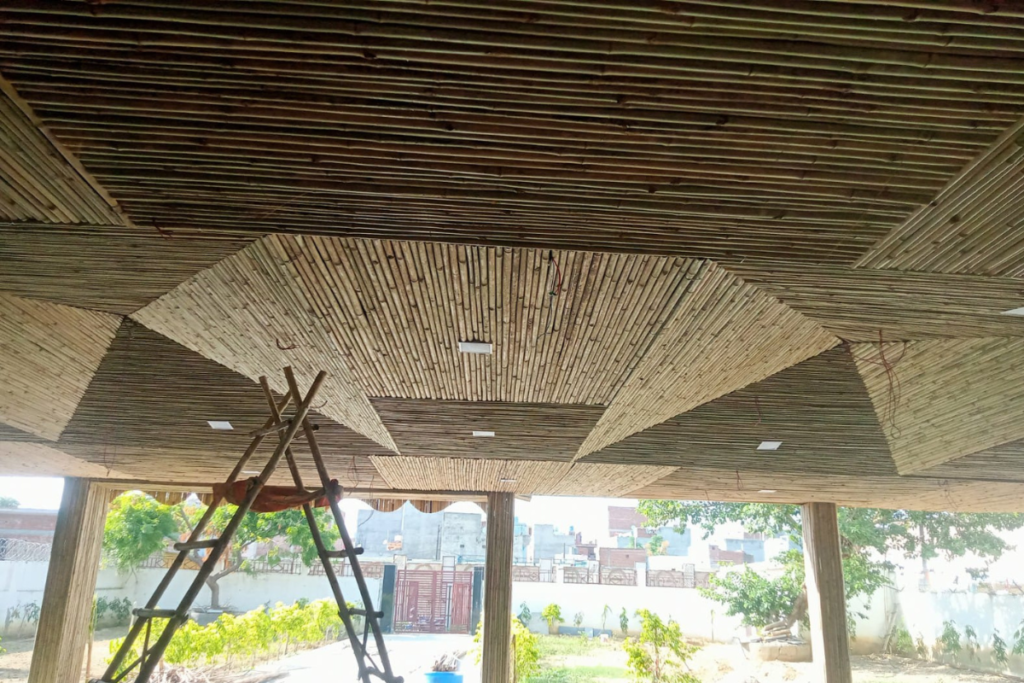Bamboo Shed